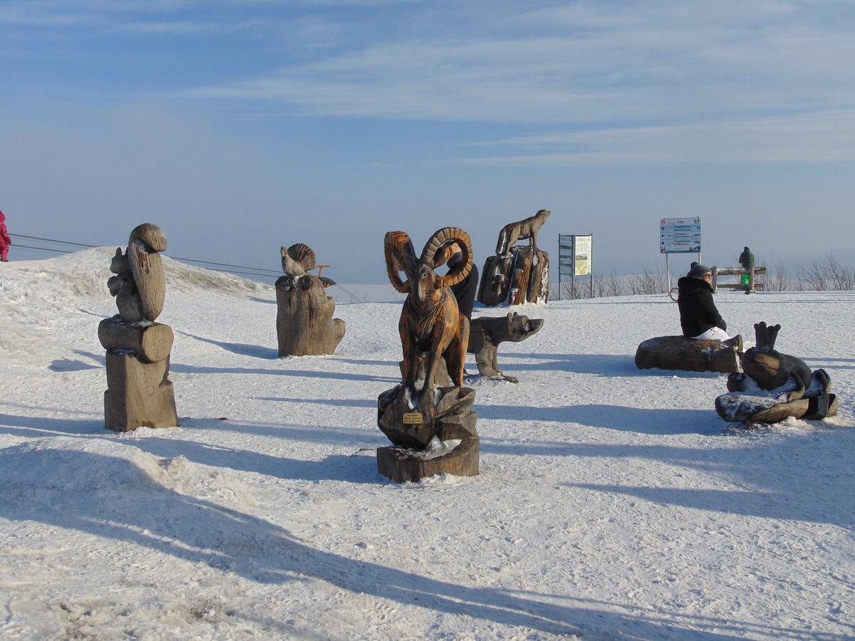 Ferienvermietung Engelstädter Oberwiesenthal Exterior foto